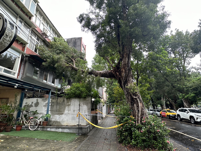 北市3小时2起路树倒塌  民宅窗户遭砸破无人伤（翻摄照片／林郁平台北传真）