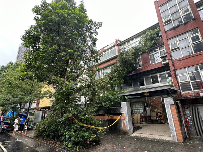 北市3小时2起路树倒塌  民宅窗户遭砸破无人伤（翻摄照片／林郁平台北传真）