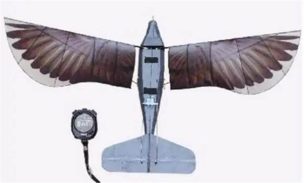西工大仿生飛行器刷新撲翼式無人機單次充電飛行時間金氏紀錄。圖為仿生飛行器。（西工大提供／大陸科技日報）