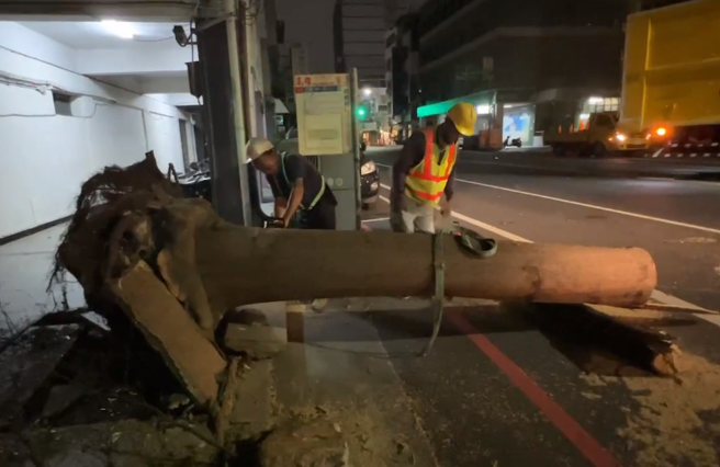 台南中西區路樹深夜倒塌 ，占據車道急封閉移除。(翻攝自記者爆料網)