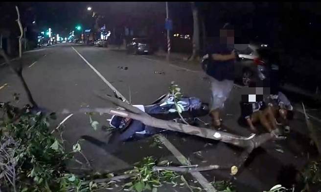 一旁人行道的路树因强风吹袭，突然落砸中机车，2人也因此摔车，被硬生生地压在树底下。（高市新兴分局提供／杨舒婷高雄传真）
