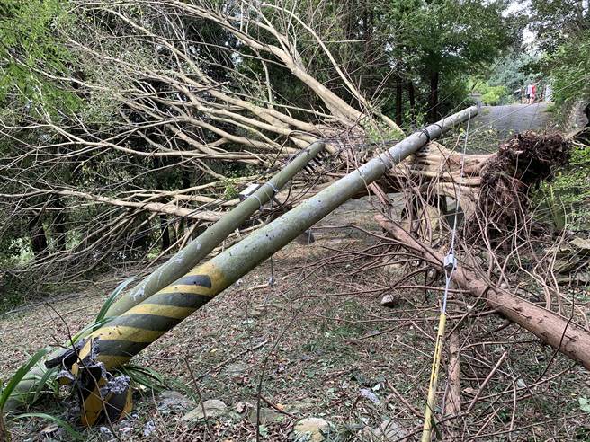北屯区北坑巷5号4日传出灾情，因强风吹落树木压倒电线杆，经台电人员抢修后，5日建杆。（台电台中区处提供／张妍溱台中传真）