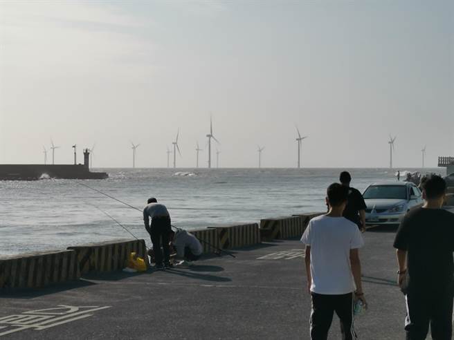 苗栗縣竹南鎮龍鳳漁港外海滿布了22座離岸風機，未來還要建置電纜上岸共同廊道。（謝明俊攝）