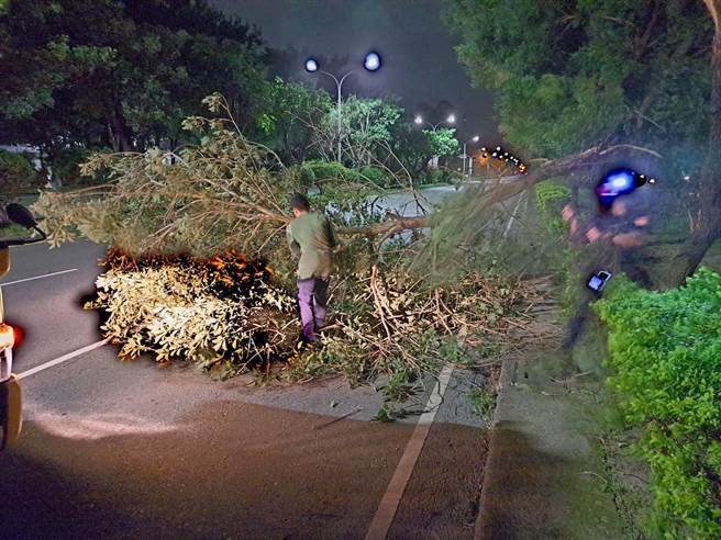 中颱小犬狂吹强风肆虐，嘉义市多处道路路树倒塌，陆续抢修。（嘉义市消防局提供／廖素慧嘉市传真）