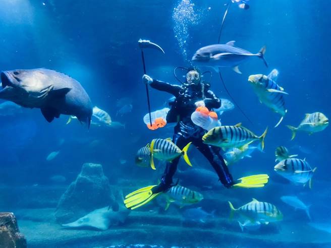 国庆日不少游乐园推出优惠(观光署提供／简立欣台北传真)