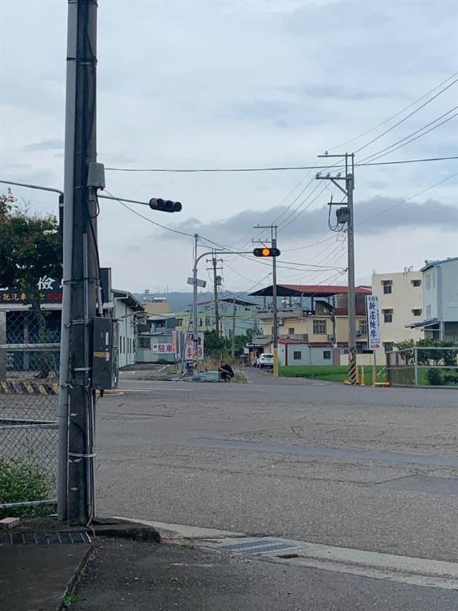 熱心民眾在新豐路交通號誌下發現1隻遭路殺石虎，保育團隊確定該筆是草屯隘寮溪首度接獲通報個案。（民眾提供／楊靜茹南投傳真）