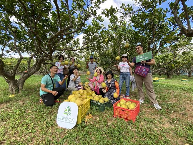 为拓展会展产业观光商机，交通部观光署参山国家风景区管理处日前邀请会展产业代表参访参山辖区，走访秘境摘採柚子。（参山处提供／潘虹恩台中传真）