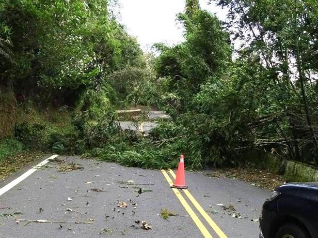 日月潭區因颱風刮7級、8級強陣風，台21甲線往伊達邵方向有倒塌樹倒壓毀標誌路牌與電線交通受阻。（埔里工務段提供／楊靜茹南投傳真）
