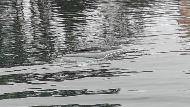 高男座車在運河載浮載沉。(讀者提供／曹婷婷台南傳真)