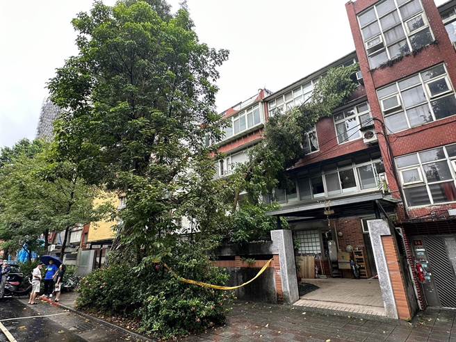 小犬颱風來襲，台北市松山區4日有路樹倒塌，砸中民宅。（警方提供）