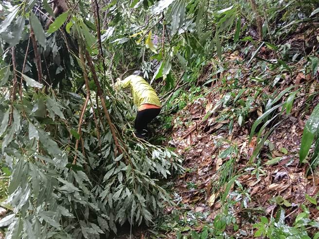 北大武山遭小犬颱风肆虐，有大量落石及倒木阻路。(林业署屏东分署)