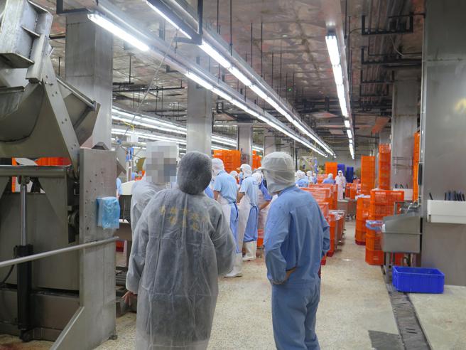 高市衛生局未查獲標示不實的桃園肉品。（圖片來源：高雄市衛生局提供）