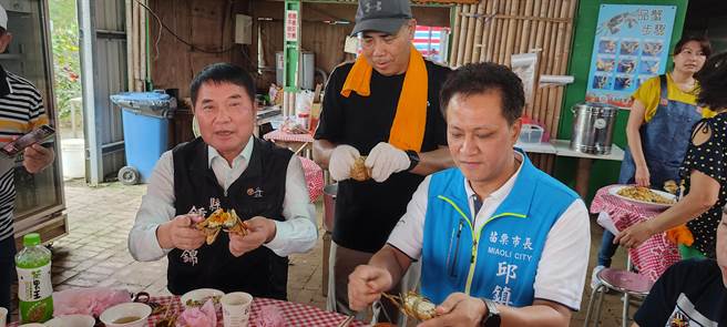 苗栗县长锺东锦与苗栗市长邱镇尝鲜试吃头屋乡养殖的大闸蟹，大声夸讚。（谢明俊摄）