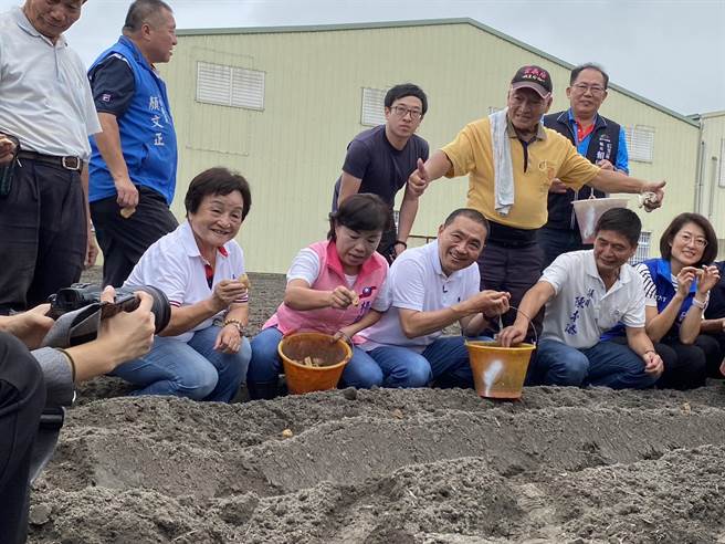 国民党总统参选人侯友宜，7日在立委杨琼璎等人陪同下到后里与农民座谈，并下田体验种马铃薯。（冯惠宜摄）