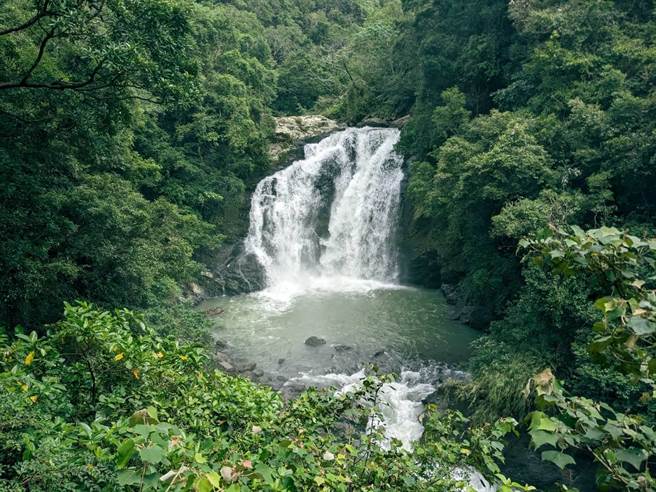赶在双十连假，双流国家森林游乐区9日恢復开园。(林业署提供)