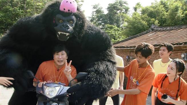 胡瓜与曾来录影的大猩猩建立好交情。（民视提供）