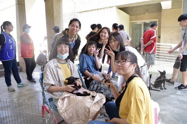 桃園動保處與青年局合作推動青年動保志工，有參與活動後的青年，持續到動保園區擔任志工。（動保處提供／蔡明亘桃園傳真）