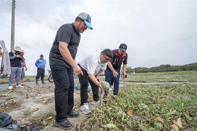 立委蔡易余（中）日前邀集县府农业处、农粮署南区分署及农改场等代表前往勘查农作物受损状况。（蔡易余办公室提供∕吕妍庭嘉义传真）
