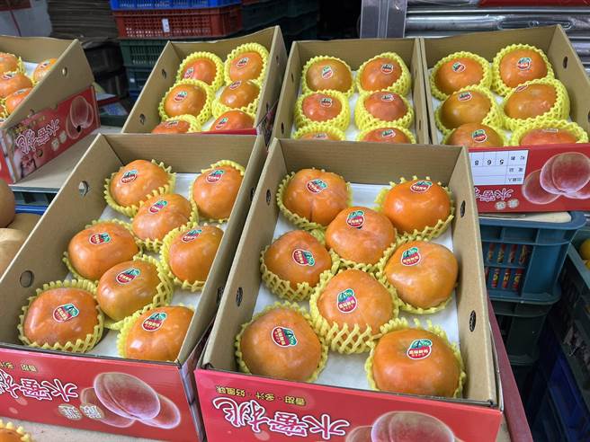 桃園市復興區10月進入甜柿產季，復興區農會指出，今年因為猴害影響，預估產量減少3至4成。（復興區農會提供／呂筱蟬桃園傳真）