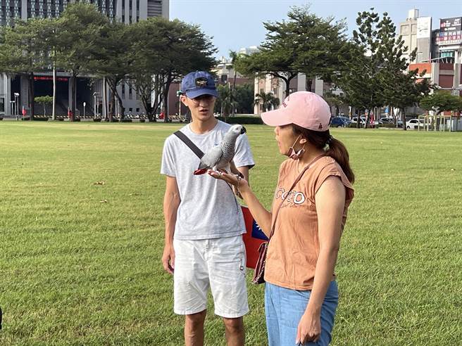 民眾带着家中的宠物鹦鹉参加台南市政府国庆升旗典礼。（洪荣志摄）