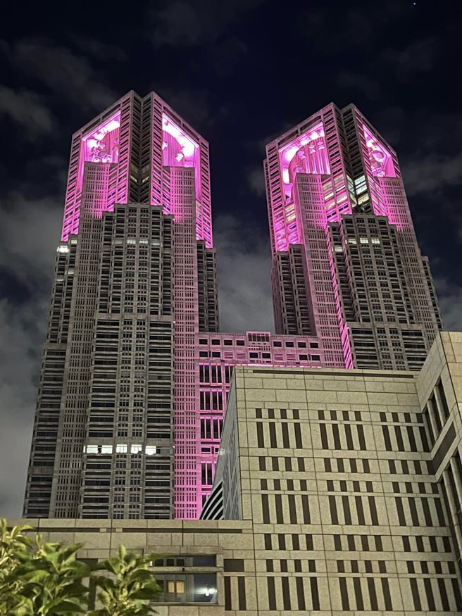 施景中分享此次日本行拍下的東京都廳照片。(翻攝自施景中FB)