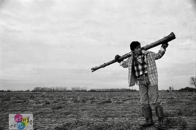 王杰35岁时拍的伐木照片，正好就是目前在加拿大的生活写照。（《你的青春也是我的青春》提供）