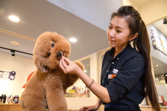IMF大砍我国GDP至0.8％，主计总处主计长朱泽民表示尊重， 若后续出口好转，年底时经济成长率不一定往下修正。图为饲主宠物消费照片。(资料照／洪凯音台北传真)
