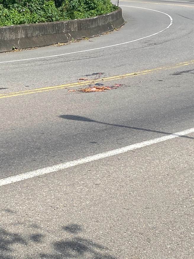 苗128线往铜锣方向，也有1只被辗过的死鸡尸体。（徐裕逢提供／李京升苗栗传真）