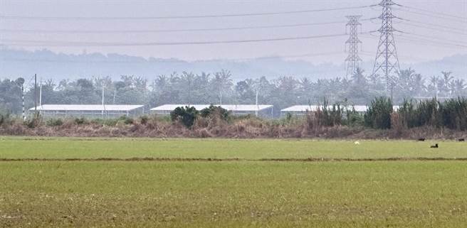 高雄市旗山广福手巾寮往溪州大桥排水沟上太阳能光电面板于2022年底己搭建完成。（林雅惠摄）