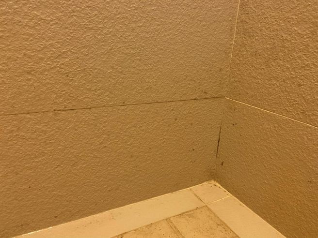 厕所磁砖多处发霉。（网友授权提供）