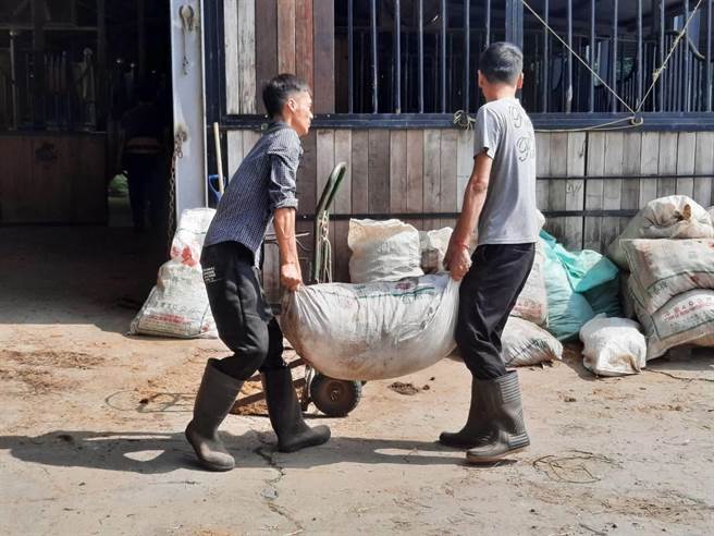 社团法人方舟就业服务协会2023年10月媒合2名年轻人（见图）到马场工作。（社团法人方舟就业服务协会提供／林雅惠高雄传真）