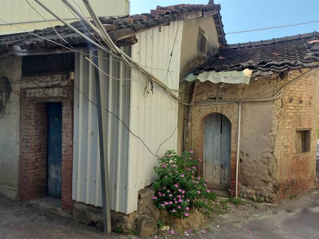 市議員林祈烽日前接獲西屯區龍潭里里民眾陳情，住家附近有雨傘節毒蛇出沒，通報委外廠商到場後，毒蛇因竄逃到隔鄰無人居住的民宅。（林祈烽提供／張亦惠台中傳真）