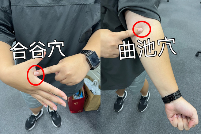 合谷穴、曲池穴（陈慧玲摄）