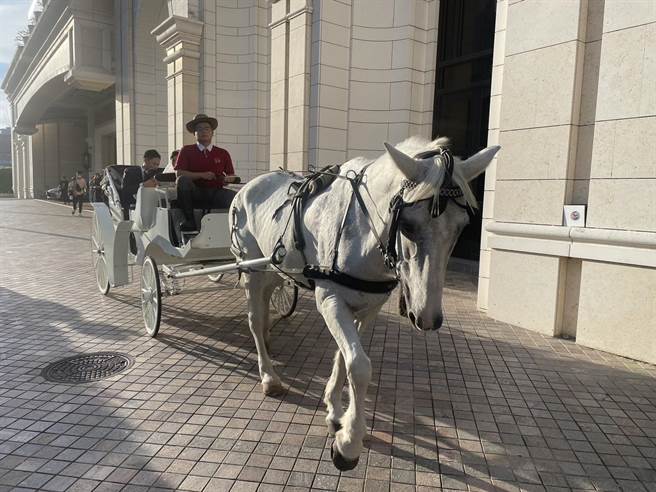 高雄林皇宫特别推出「幸福来LIN　皇室马车婚礼」新企画，他们为新人们安排乘坐古典马车来到婚礼现场的桥段，犹如童话故事中的白马王子与公主举办浪漫婚礼。（洪浩轩摄）