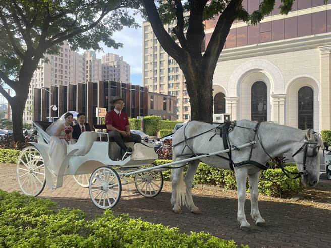 高雄林皇宫特别推出「幸福来LIN　皇室马车婚礼」新企画，他们为新人们安排乘坐古典马车来到婚礼现场的桥段，犹如童话故事中的白马王子与公主举办浪漫婚礼。（洪浩轩摄）