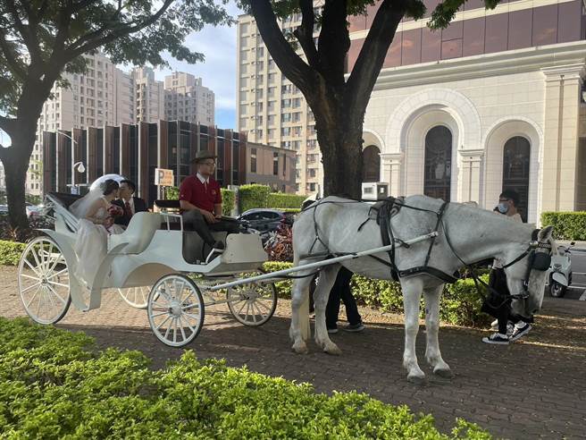 高雄林皇宫特别推出「幸福来LIN　皇室马车婚礼」新企画，他们为新人们安排乘坐古典马车来到婚礼现场的桥段，犹如童话故事中的白马王子与公主举办浪漫婚礼。（洪浩轩摄）