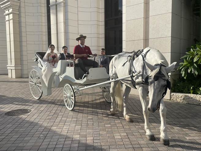 高雄林皇宫特别推出「幸福来LIN　皇室马车婚礼」新企画，他们为新人们安排乘坐古典马车来到婚礼现场的桥段，犹如童话故事中的白马王子与公主举办浪漫婚礼。（洪浩轩摄）