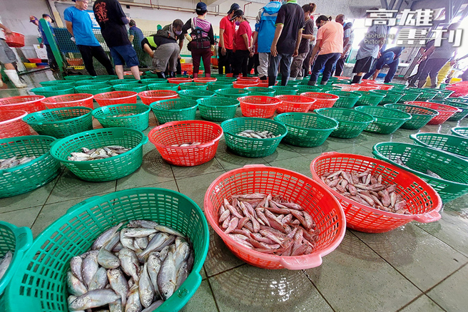 蚵仔寮漁獲以近海捕捉為主，中午12點拍賣，年交易量約4千噸，產值上億元，是大高雄及南臺灣沿近海漁業最重要的集散交易場所。(攝影/李瑰嫻)