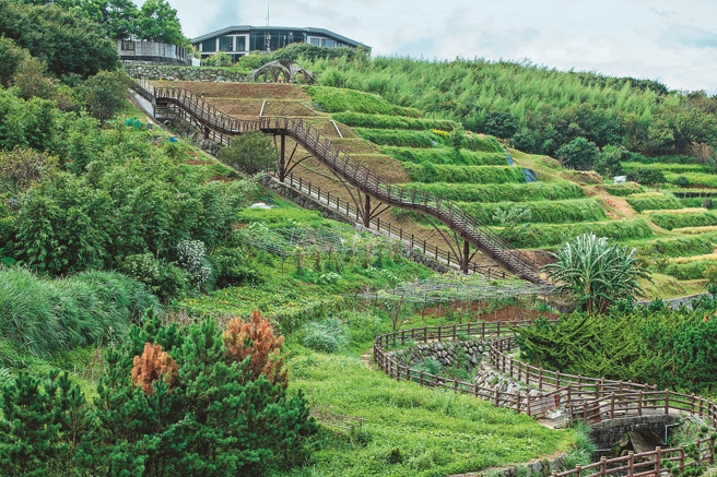 鵝尾山水梯田是台北市極具代表性的里山農村地景。（攝影／李智為）