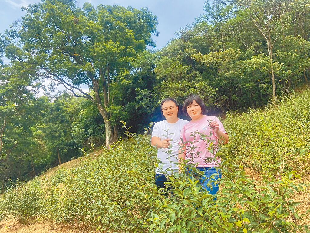 陳宣和（左）與妻子姜慧姿（右）一起經營大埔製茶廠。（柯毓庭攝）