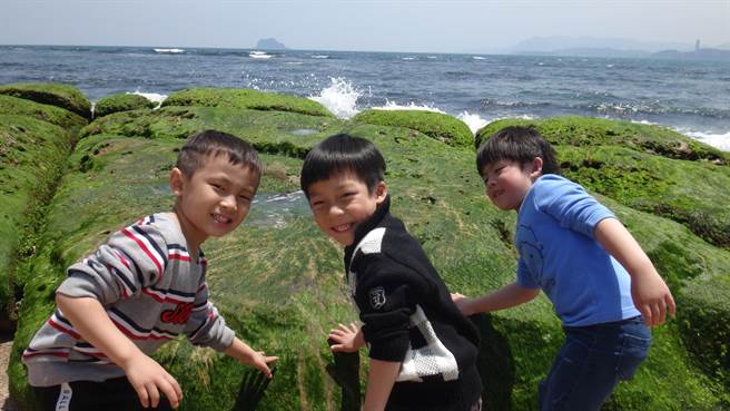获「全国2023年海洋教育创新教学优质团队选拔」为特优的野柳国小学生走出户外，实地认识海草。（新北市教育局提供）