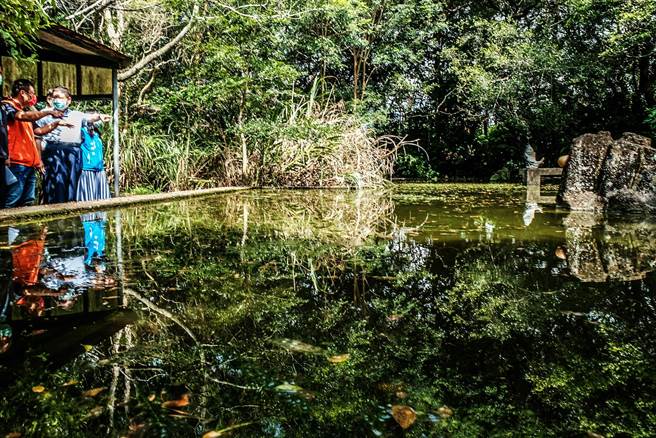 新竹县仁爱之家庭园水池等相关设施都已荒废。（罗浚滨摄）