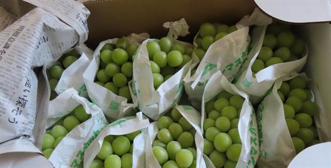 食藥署每周例行公布邊境檢驗不合格食品資訊，日本進口鮮葡萄連續兩周上榜。（食藥署提供）