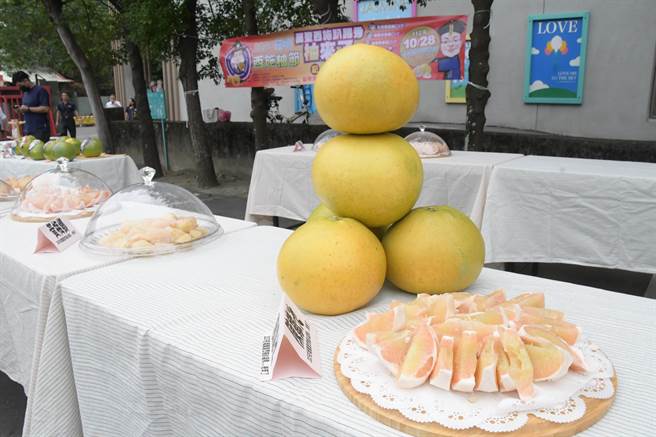 彰化县花坛乡农会指出，今年的西施柚品质与甜度均佳。（孙英哲摄）