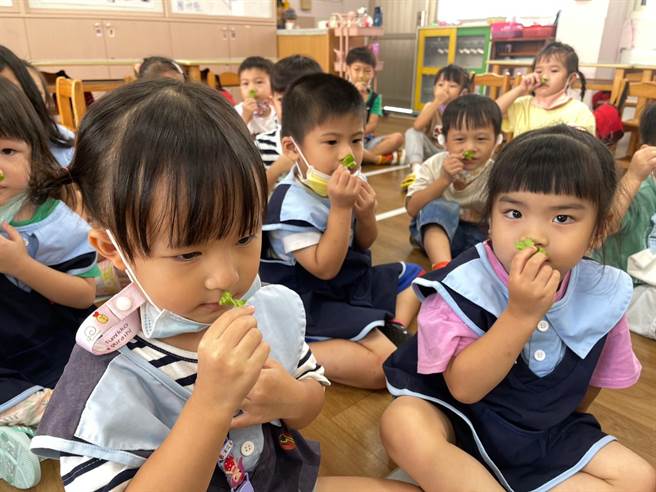 老师说，小朋友在学校种植香菜，当然有的孩子喜欢，有的孩子只想跟香菜保持距离。（北斗国小附设幼儿园提供／吴建辉彰化传真）