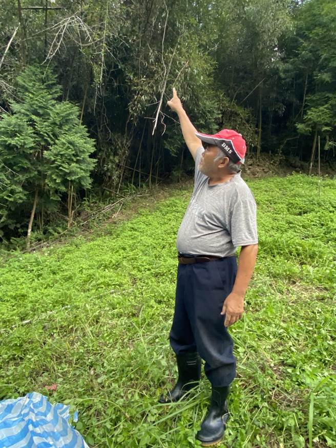 大安部落义警张瑞庆发现黑熊受困热心通报。（林业署提供／陈淑娥台中传真）