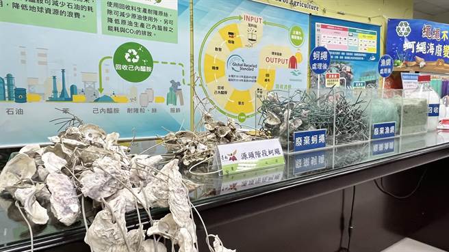 台南每年會產生21公噸廢蚵繩，台南市政府農業局鼓勵蚵農繳交給政府回收。（張毓翎攝）