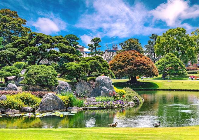 彰化縣永靖鄉台版兼六園「成美文化園」，占地約10公頃，園區內除了有上百棵紫薇花外，還有百年日本黑松、真柏、羅漢松、楓港柿等珍貴樹種。(成美園提供／吳建輝彰化傳真)