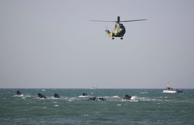 9國31個軍事單位本週將參與史上首次的歐洲聯盟聯合軍演，以期推升歐盟迅速因應境外危機的能力。（圖／路透社）