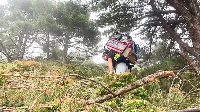 為執行山林巡護及自然保育工作，林業保育署台東分署2024年預計招募3名森林護管員，依考核結果可逐年晉級，月薪最高可達46K。（讀者提供／蕭嘉蕙台東傳真）